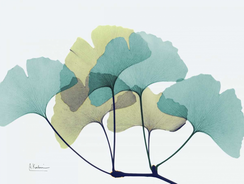 Gingko L140 art print by Albert Koetsier for $57.95 CAD
