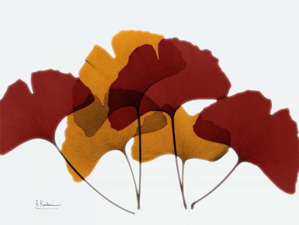 Gingko Fall art print by Albert Koetsier for $57.95 CAD