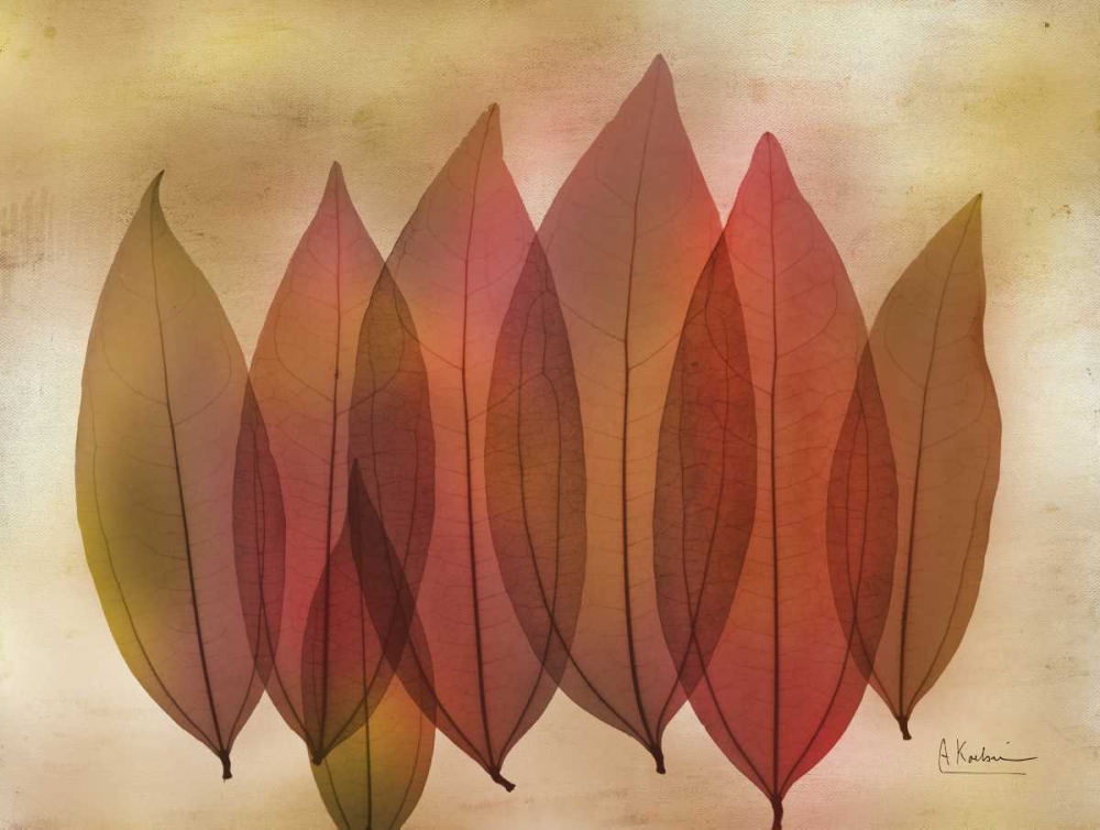 Harvest Light 1 art print by Albert Koetsier for $57.95 CAD