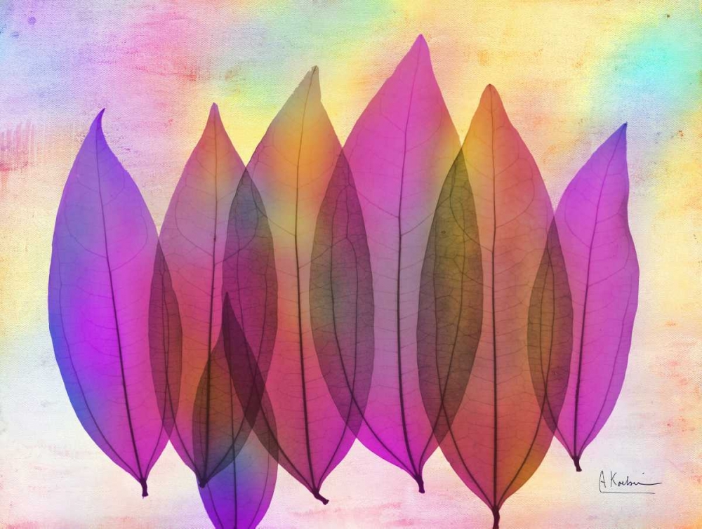 Retroluxed Coculus art print by Albert Koetsier for $57.95 CAD