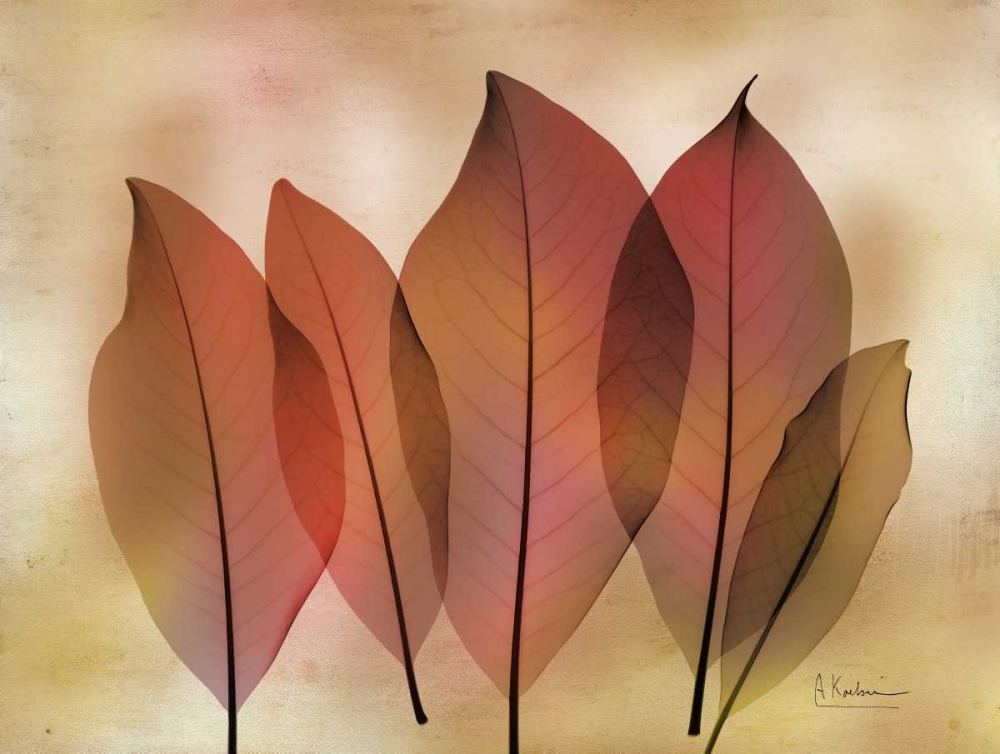 Harvest Light 2 art print by Albert Koetsier for $57.95 CAD