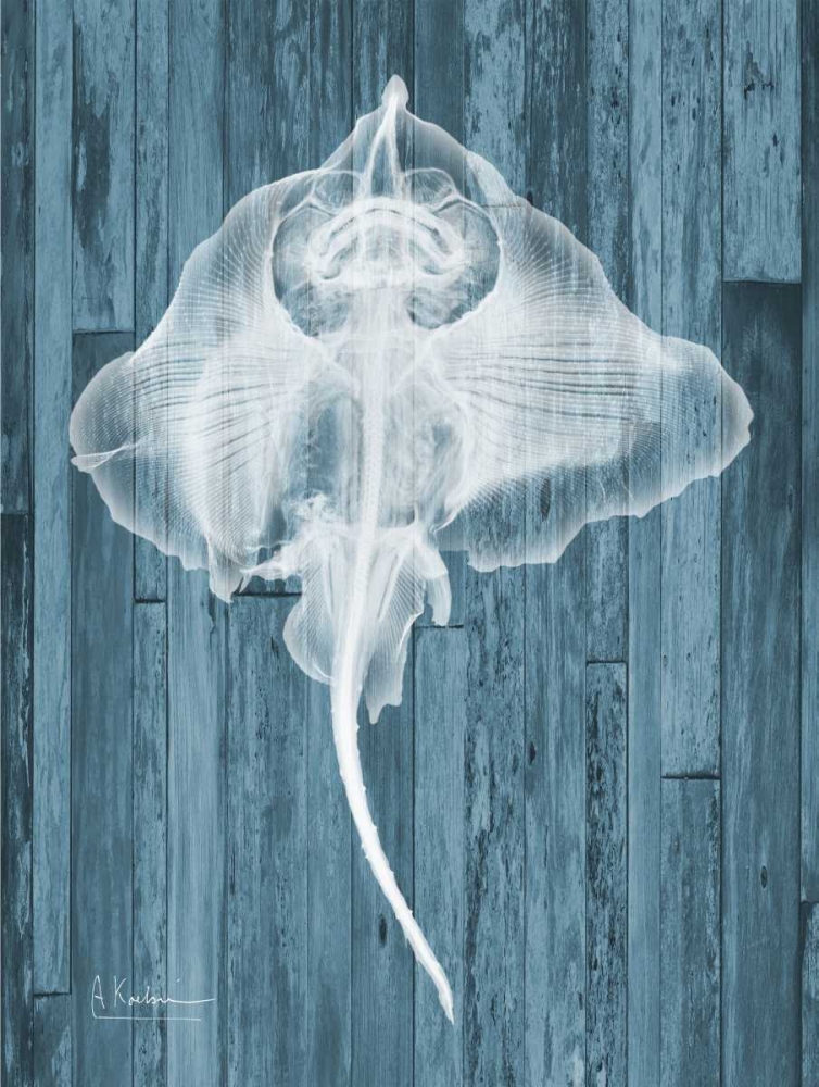 Skate Wood art print by Albert Koetsier for $57.95 CAD