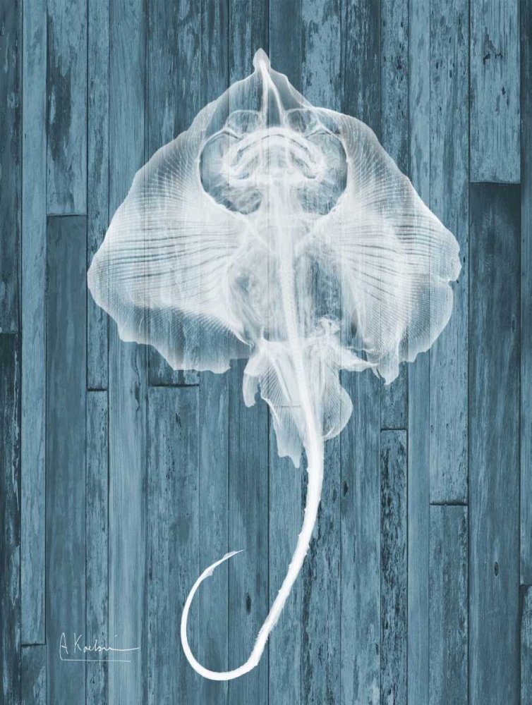 Skate Wood L86 art print by Albert Koetsier for $57.95 CAD