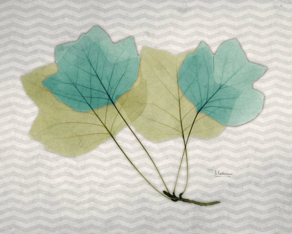 Citrus Tulip Tree art print by Albert Koetsier for $57.95 CAD