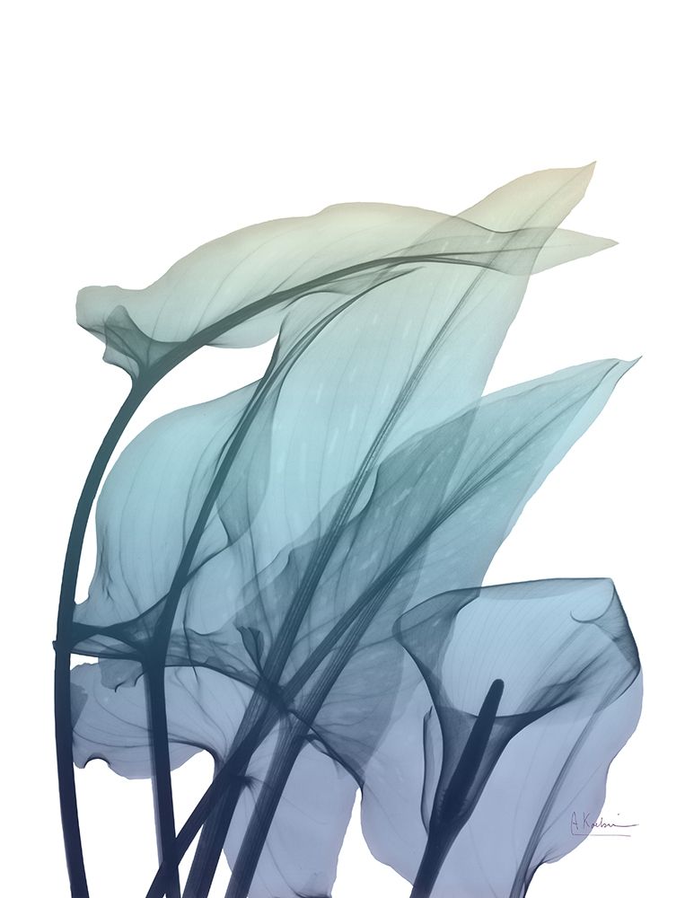 Ombre Expression 3 art print by Albert Koetsier for $57.95 CAD