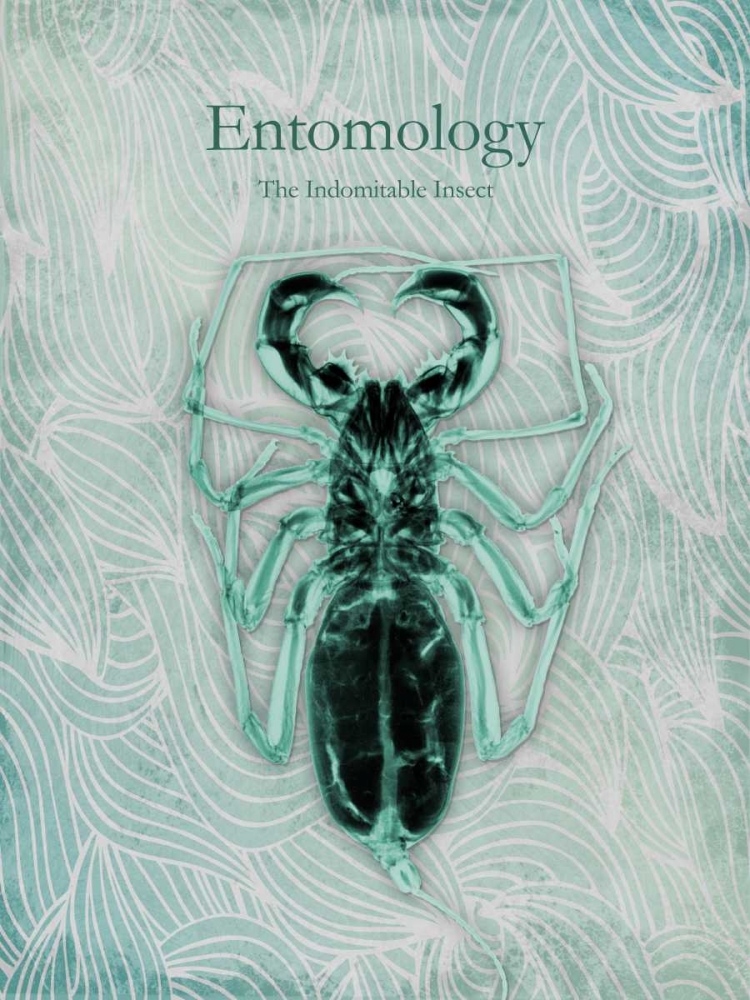 Indomitable Insect art print by Albert Koetsier for $57.95 CAD