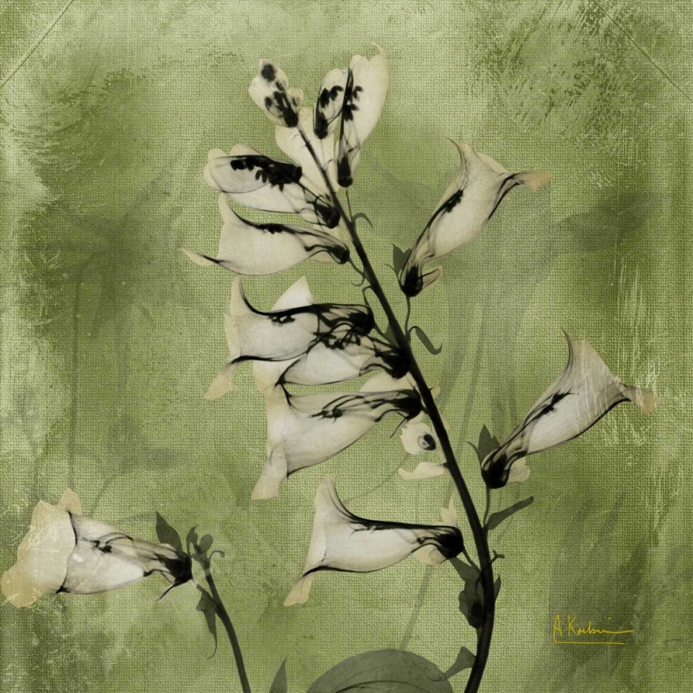 Golden Fox Glove art print by Albert Koetsier for $57.95 CAD