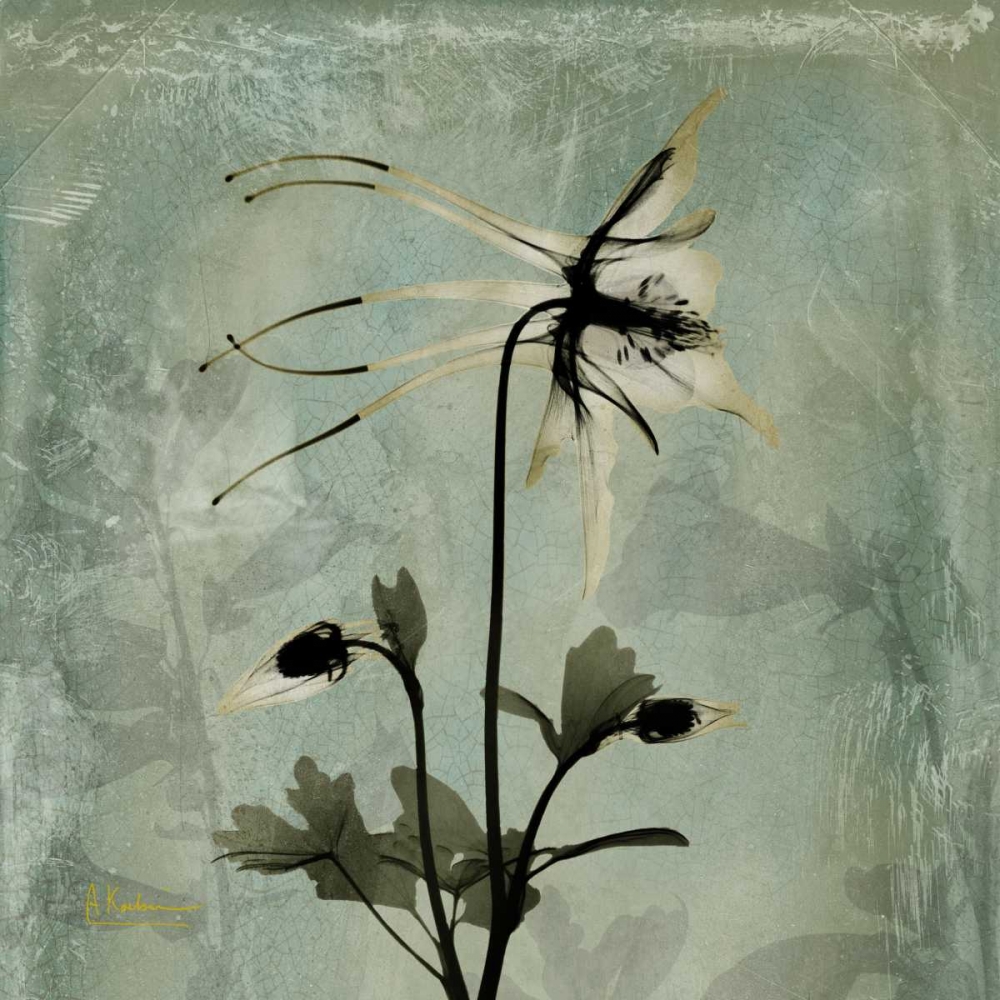 Columbine art print by Albert Koetsier for $57.95 CAD