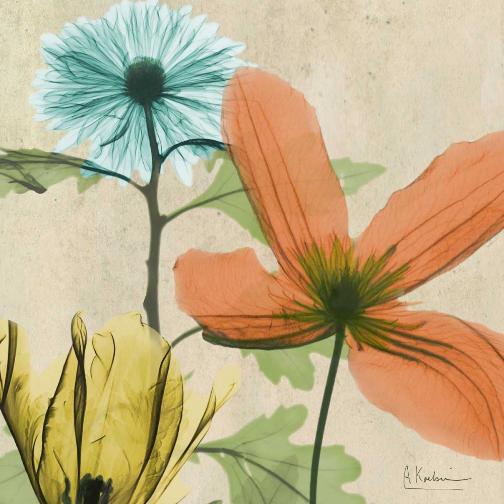 New Avalon V art print by Albert Koetsier for $57.95 CAD