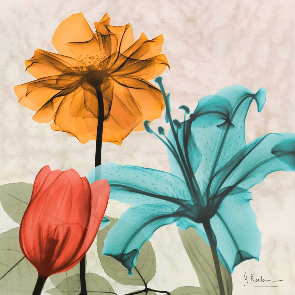 Spice Avalon X art print by Albert Koetsier for $57.95 CAD