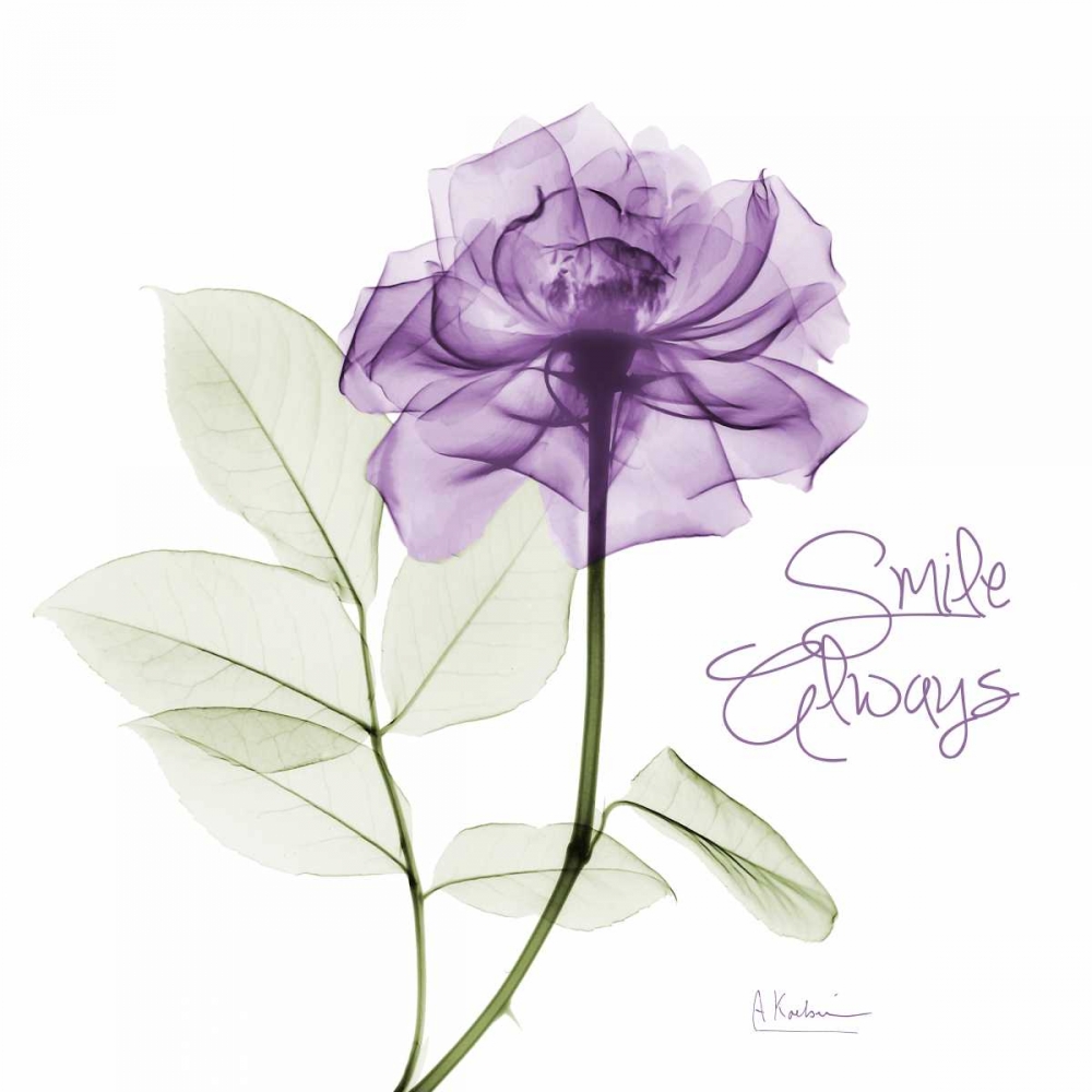 Smile Always Purple art print by Albert Koetsier for $57.95 CAD