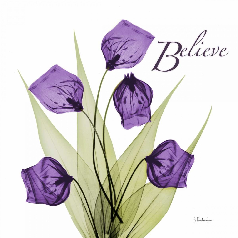 Believe art print by Albert Koetsier for $57.95 CAD