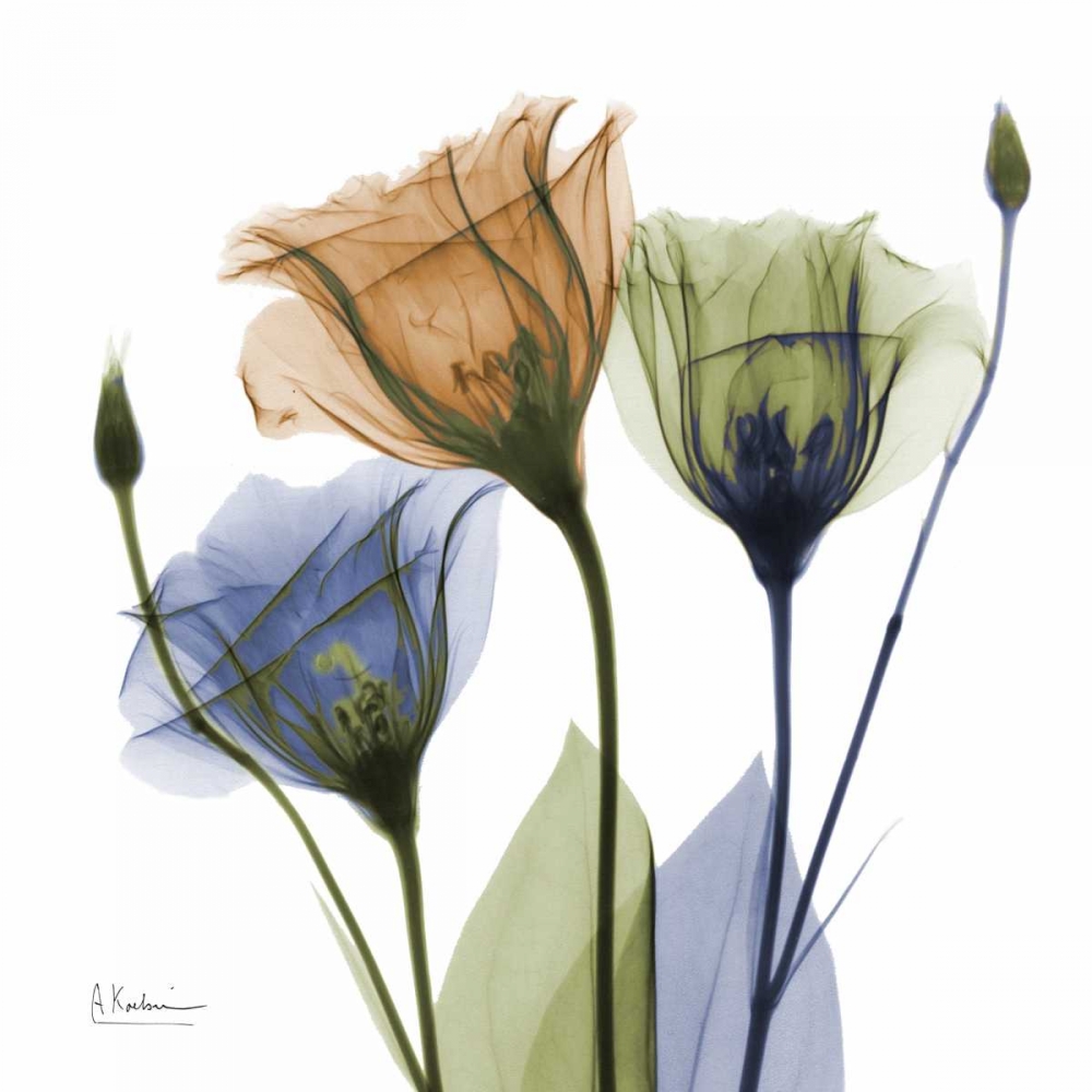Gentian Buddies art print by Albert Koetsier for $57.95 CAD