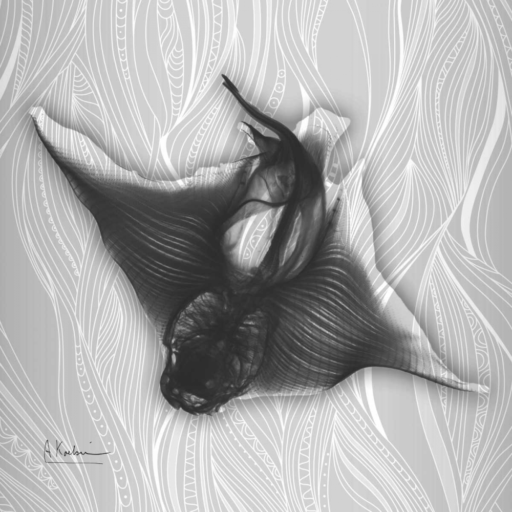 Skate Vision 3 art print by Albert Koetsier for $57.95 CAD
