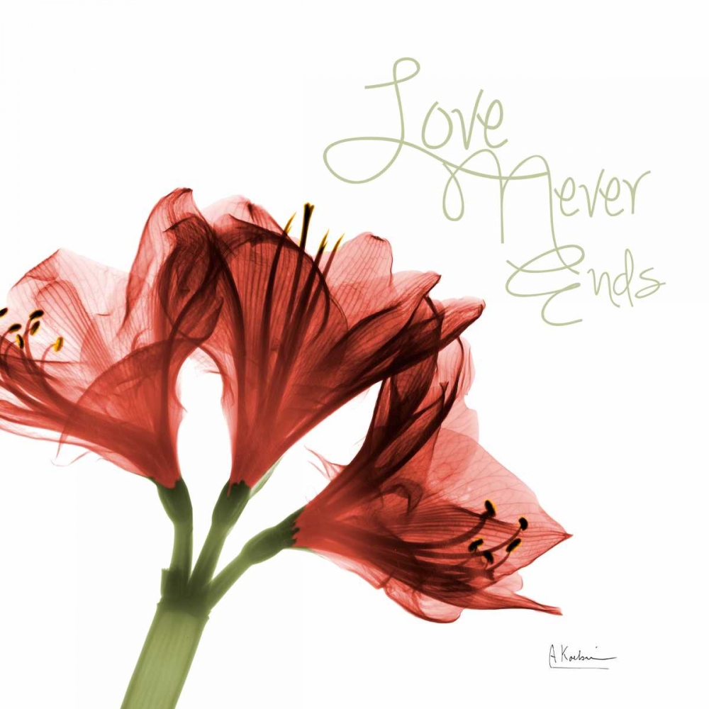 Amaryllis Love art print by Albert Koetsier for $57.95 CAD
