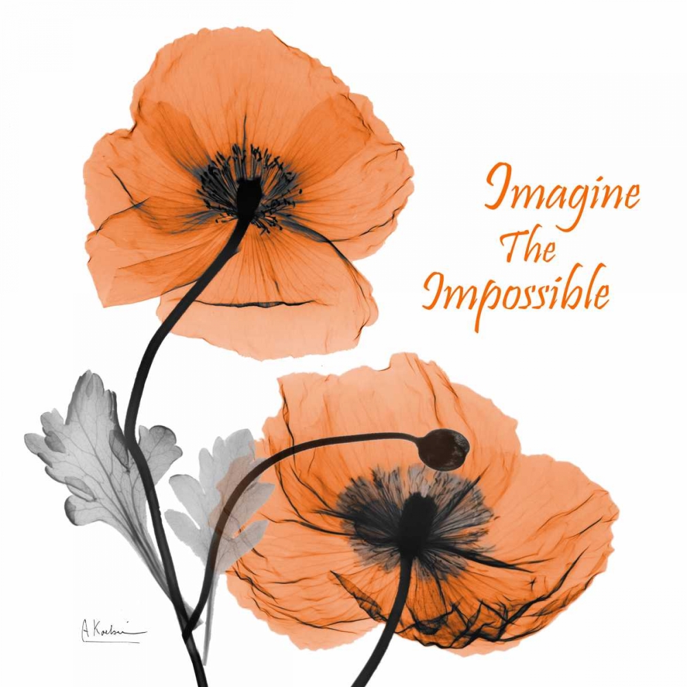 Iceland Poppy Quote art print by Albert Koetsier for $57.95 CAD