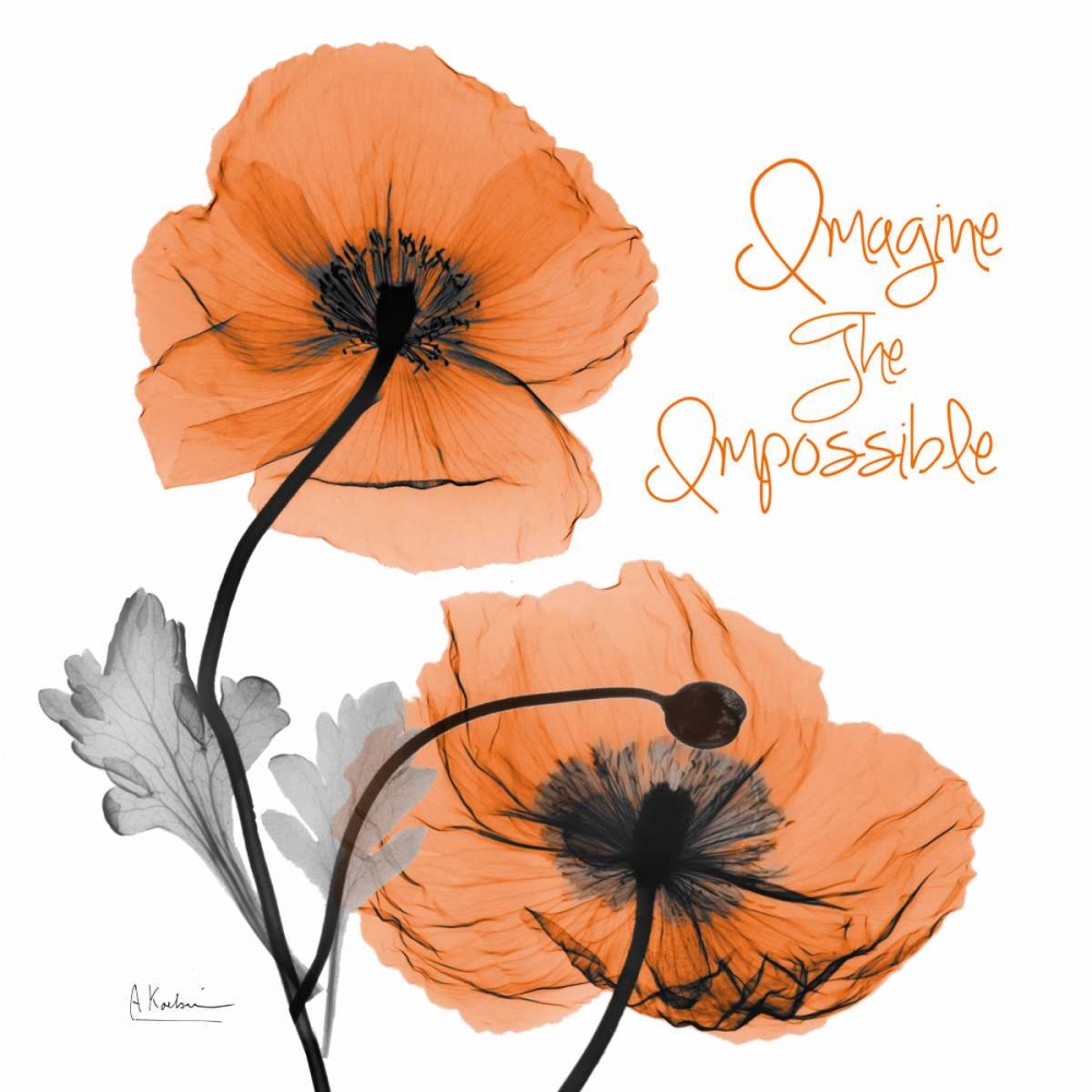 Imagine Iceland Poppy art print by Albert Koetsier for $57.95 CAD