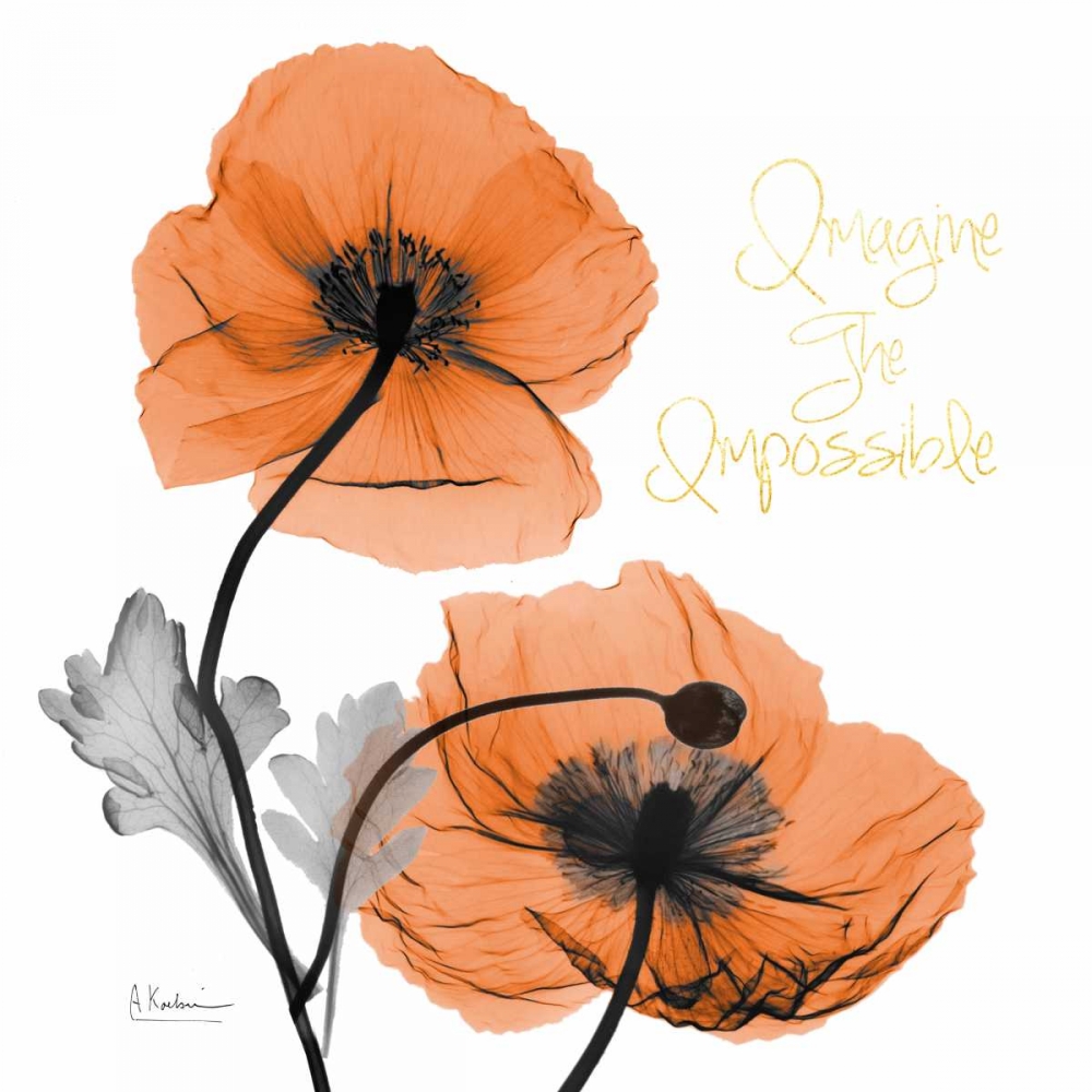 Impossible Iceland Poppy art print by Albert Koetsier for $57.95 CAD