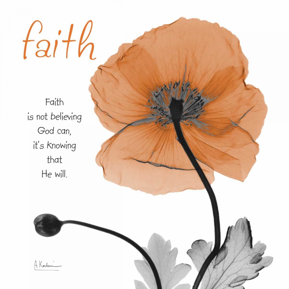 Iceland Poppy Faith art print by Albert Koetsier for $57.95 CAD