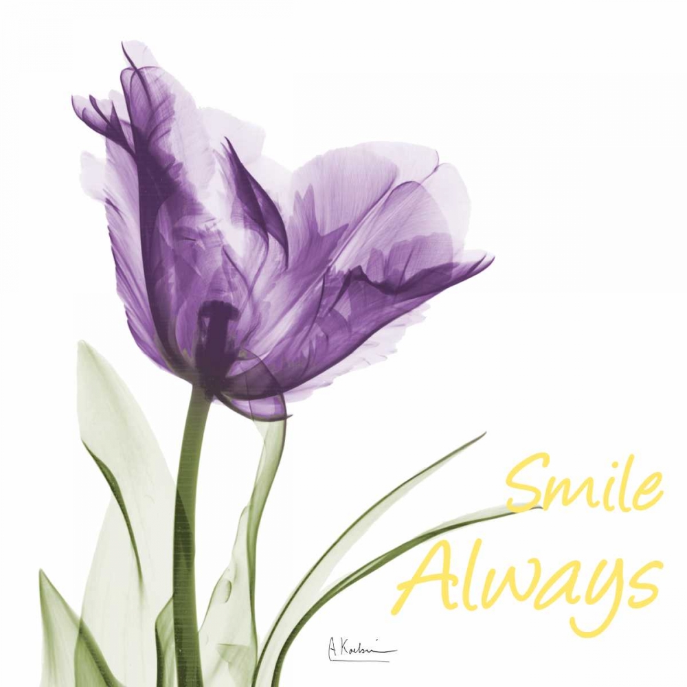 Smile Always Tulip art print by Albert Koetsier for $57.95 CAD