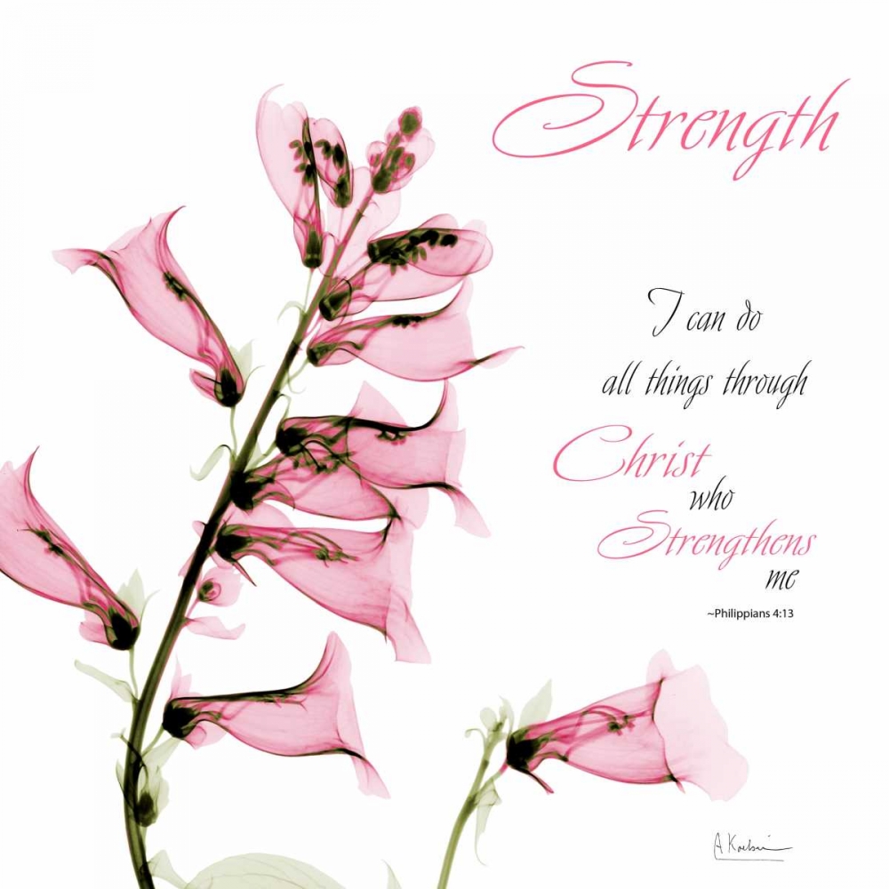 Philippians art print by Albert Koetsier for $57.95 CAD