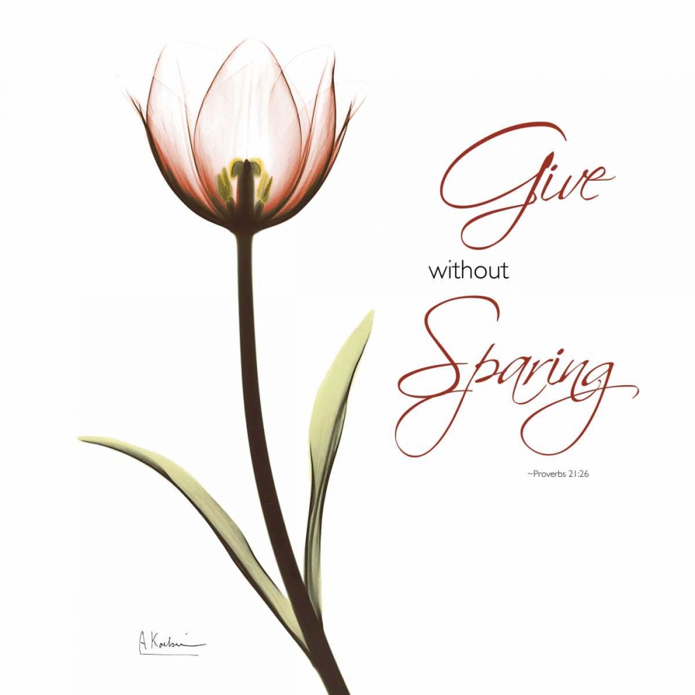 Giving Tulip C69 art print by Albert Koetsier for $57.95 CAD