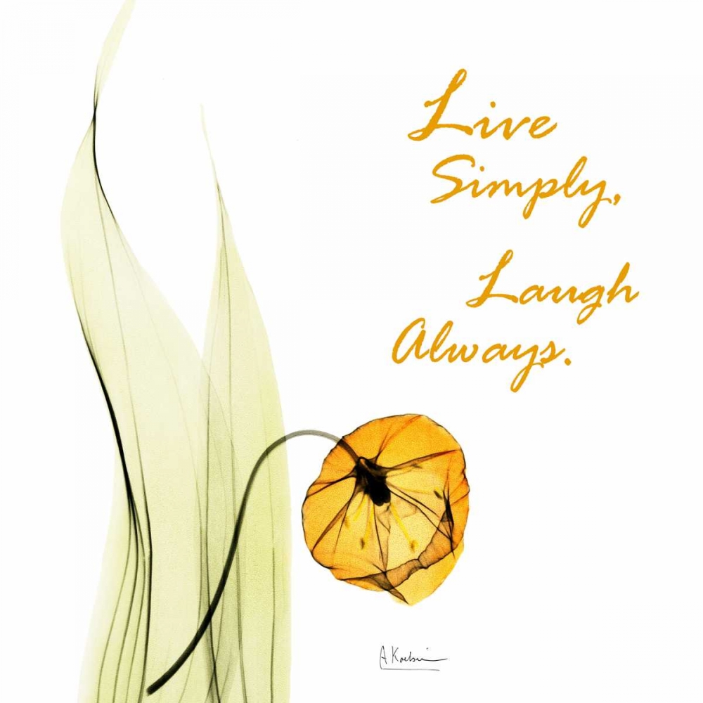 Live Laugh Sandersonia H51 art print by Albert Koetsier for $57.95 CAD