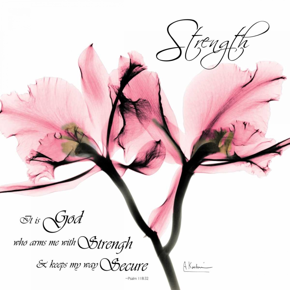 Orchid Strength art print by Albert Koetsier for $57.95 CAD