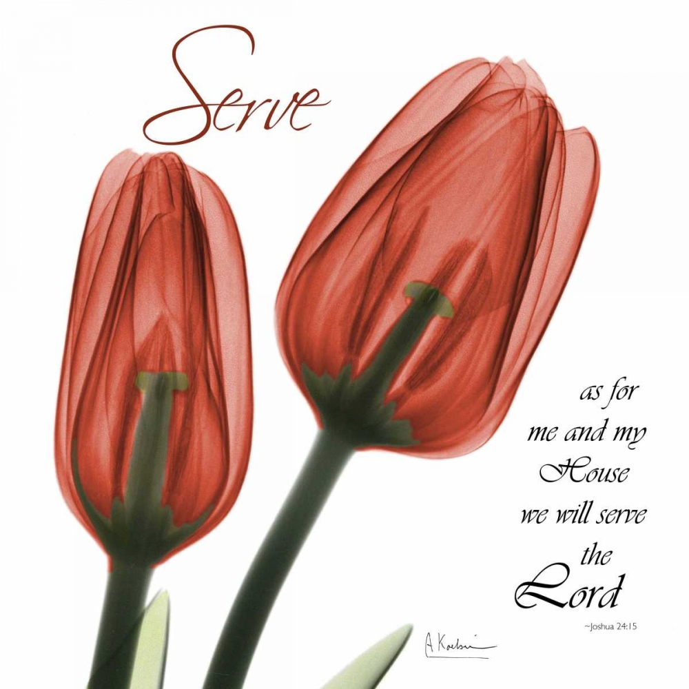House Tulips art print by Albert Koetsier for $57.95 CAD