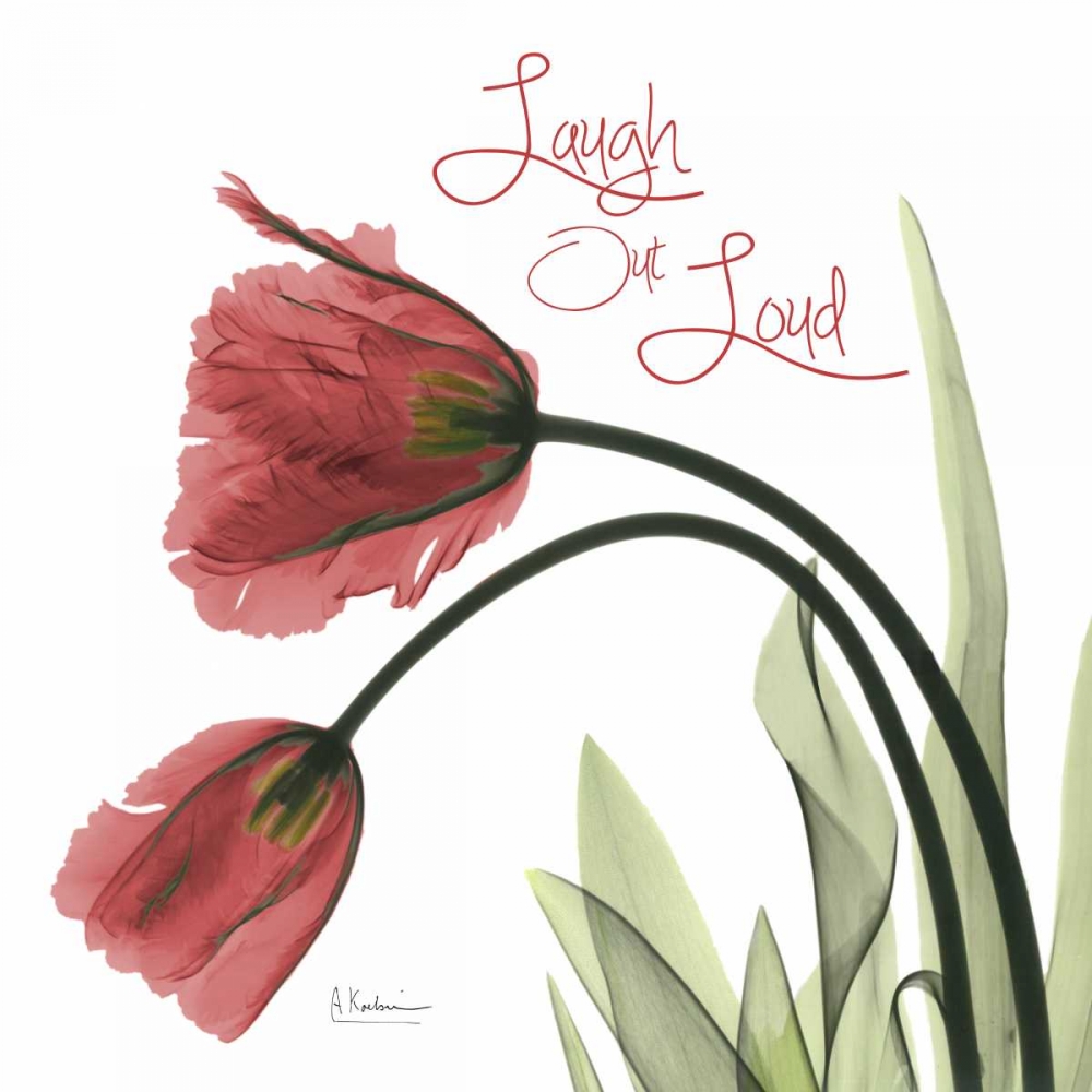 LOL Tulips L83 art print by Albert Koetsier for $57.95 CAD