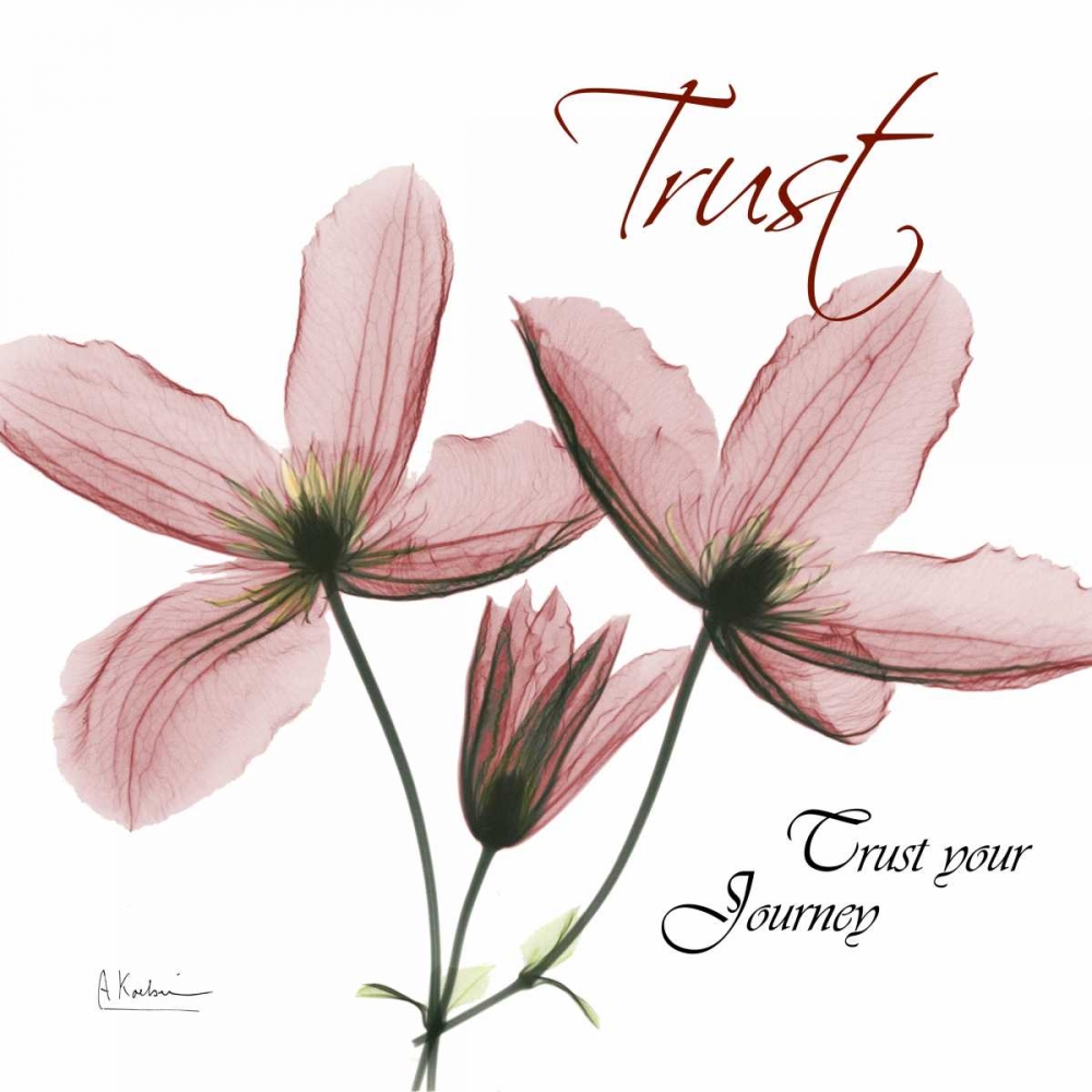 Journey Clematis art print by Albert Koetsier for $57.95 CAD