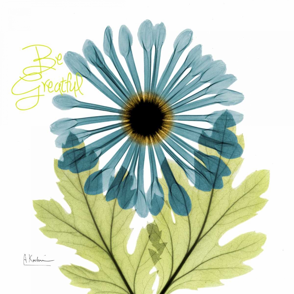 Greatful Chrysanthemum H68 art print by Albert Koetsier for $57.95 CAD