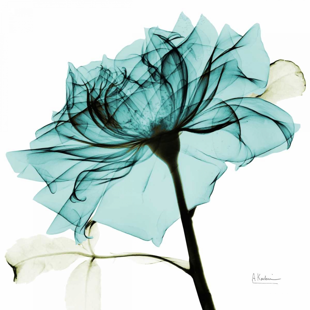 Teal Rose 2 art print by Albert Koetsier for $57.95 CAD