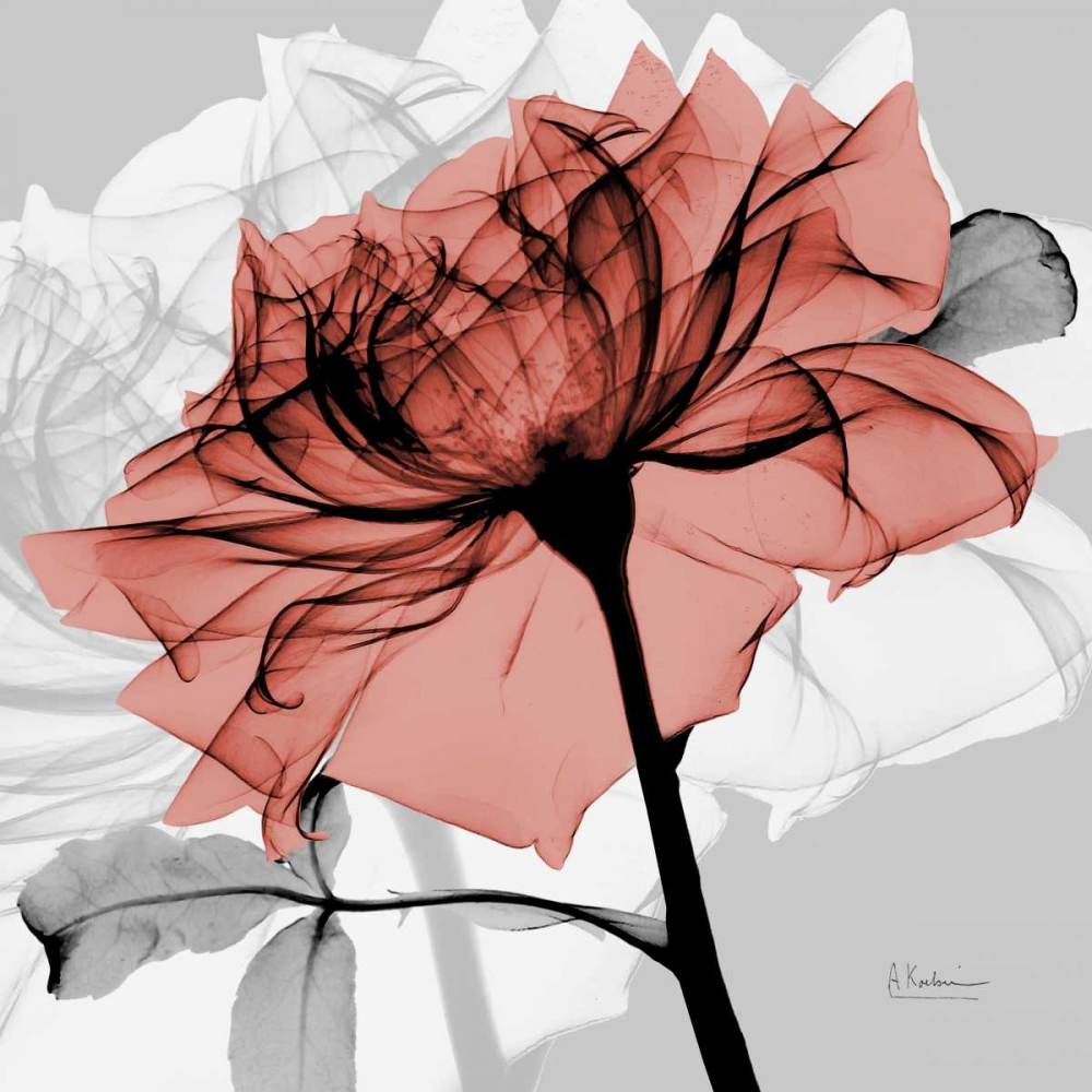 Rose on Gray 2 art print by Albert Koetsier for $57.95 CAD