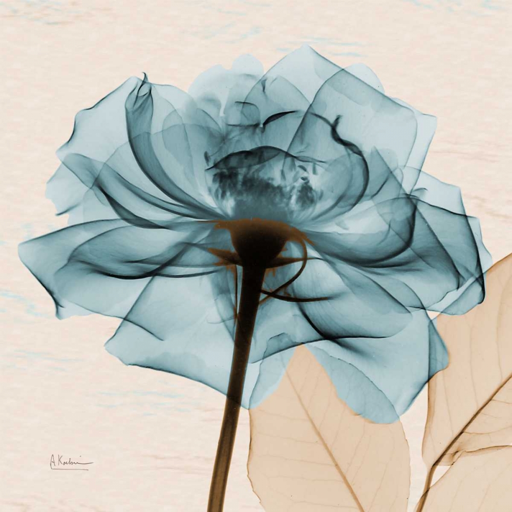 Teal Rose art print by Albert Koetsier for $57.95 CAD