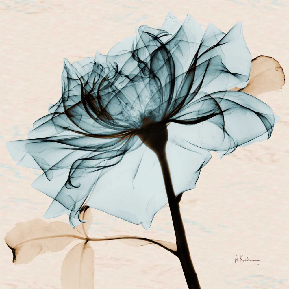 Teal Rose 2 art print by Albert Koetsier for $57.95 CAD