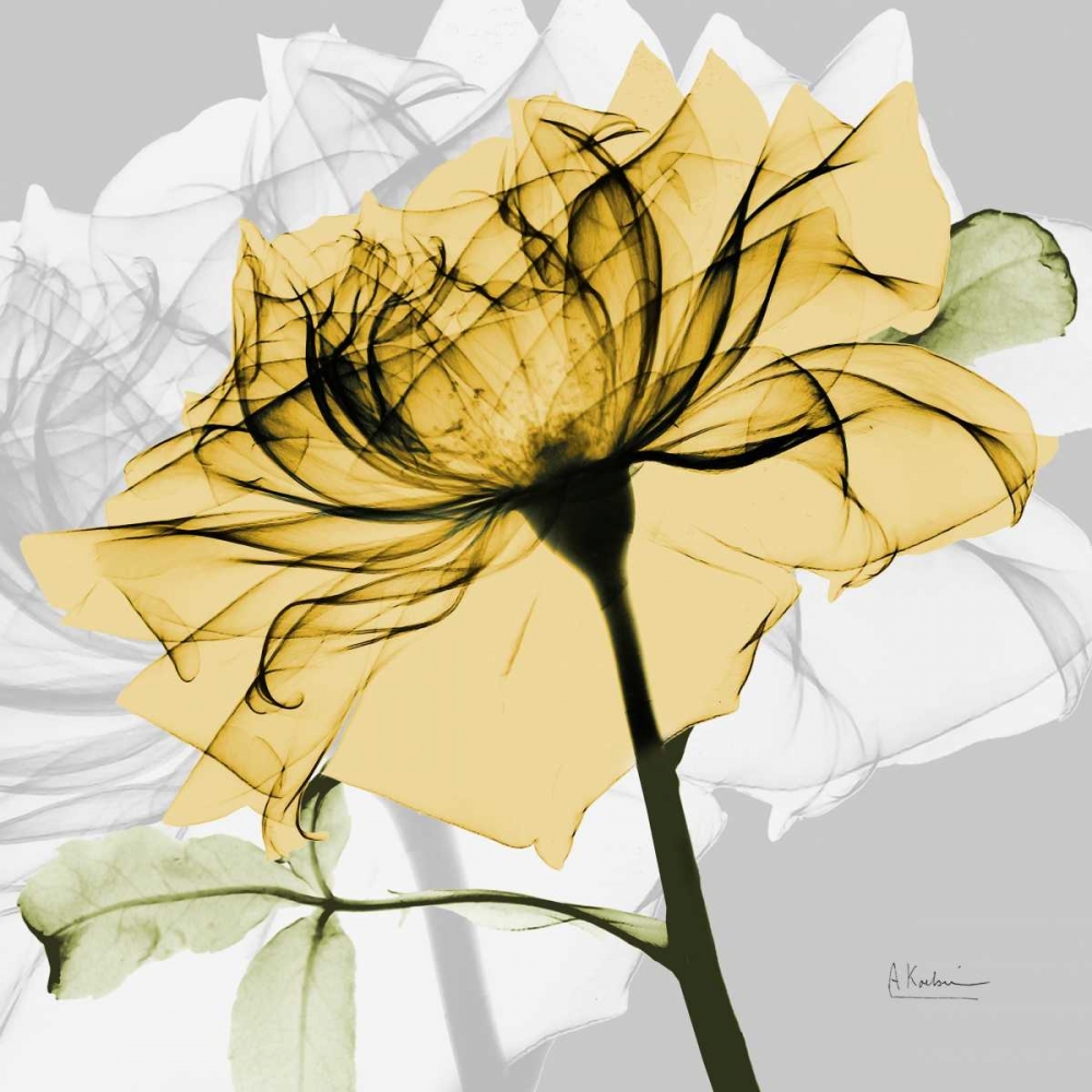 Rose in Gold 5 art print by Albert Koetsier for $57.95 CAD