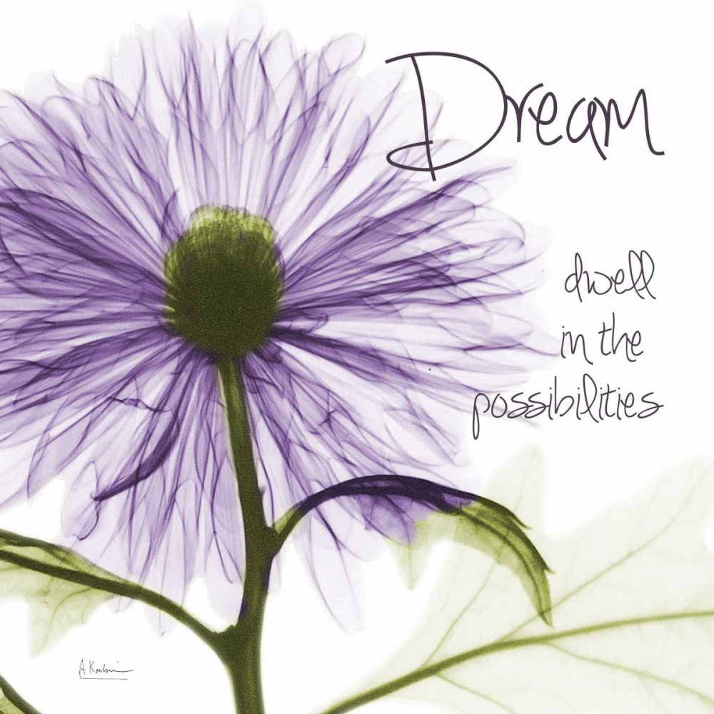 Purple Chrysanthemum Dream art print by Albert Koetsier for $57.95 CAD