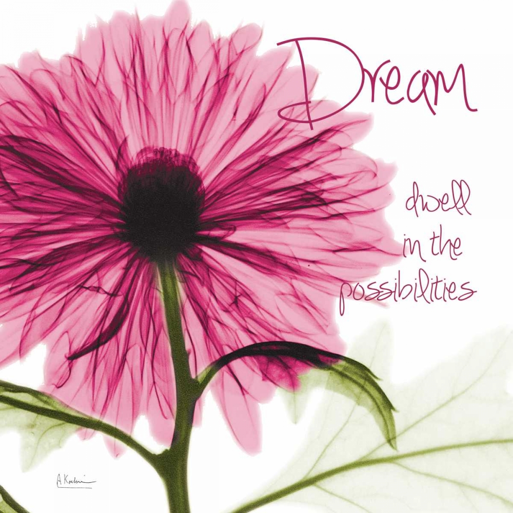 Pink Chrysanthemum Dream art print by Albert Koetsier for $57.95 CAD
