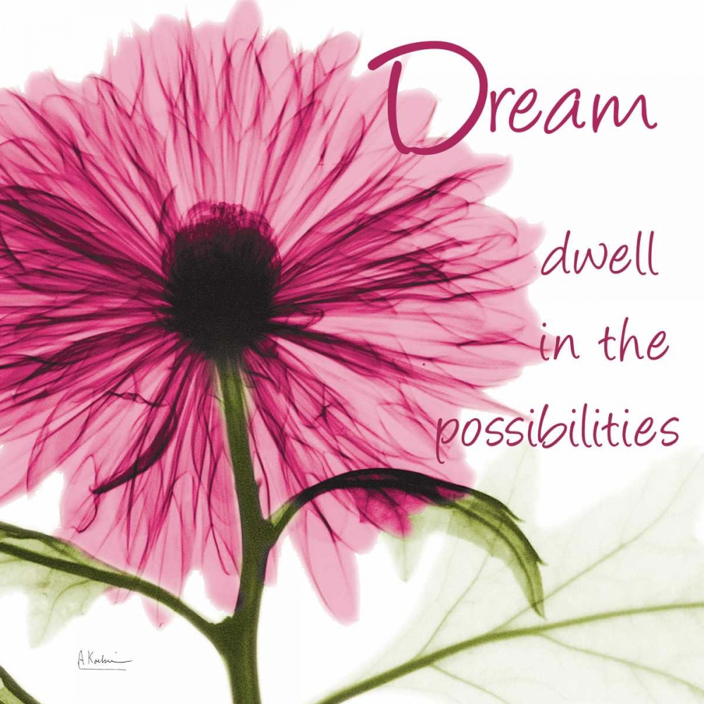 Pink Chrysanthemum Dream 2 art print by Albert Koetsier for $57.95 CAD