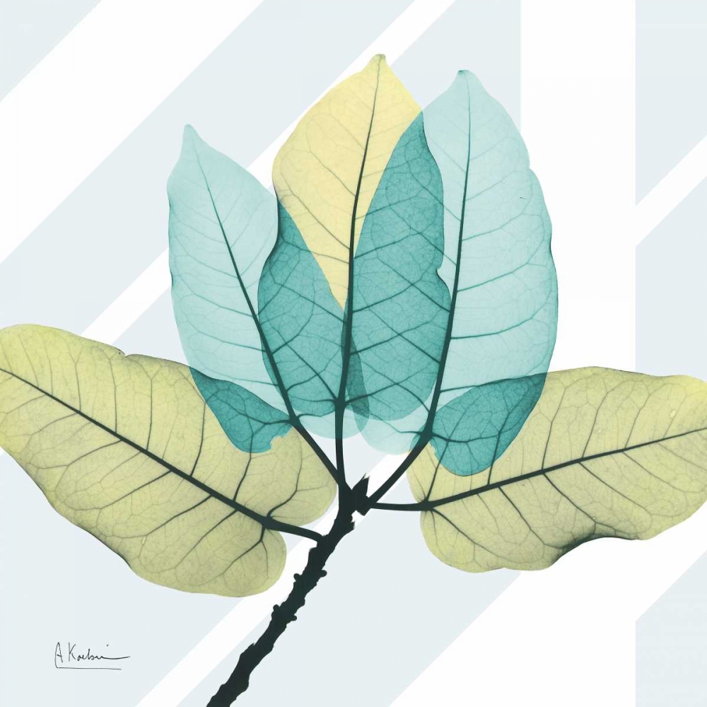 Transitional Ficus Burkey art print by Albert Koetsier for $57.95 CAD