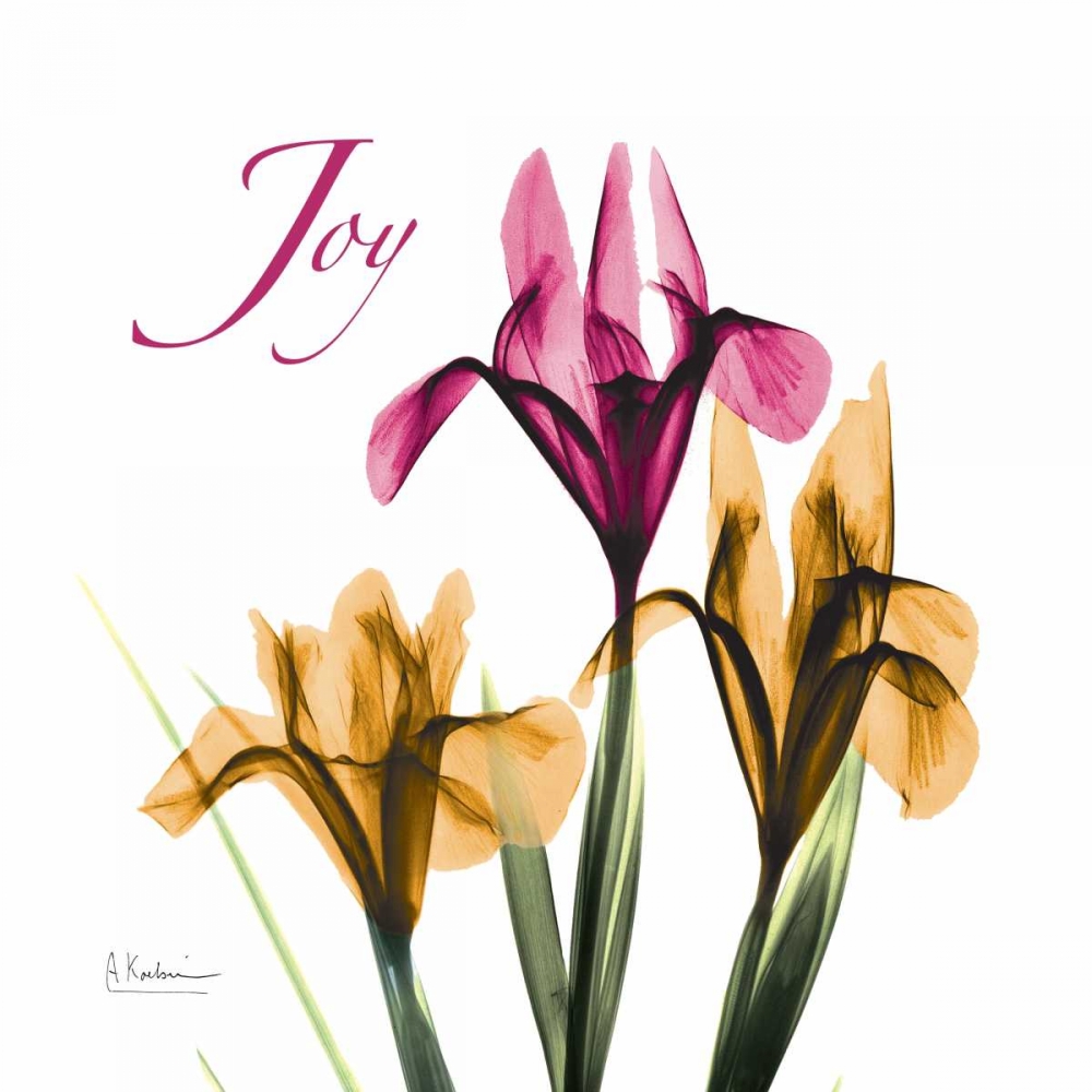 Iris Joy art print by Albert Koetsier for $57.95 CAD
