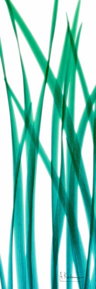 Snow Drop Flowing Blue Green art print by Albert Koetsier for $57.95 CAD