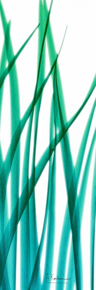 Snow Drop Flowing Blue Green 2 art print by Albert Koetsier for $57.95 CAD