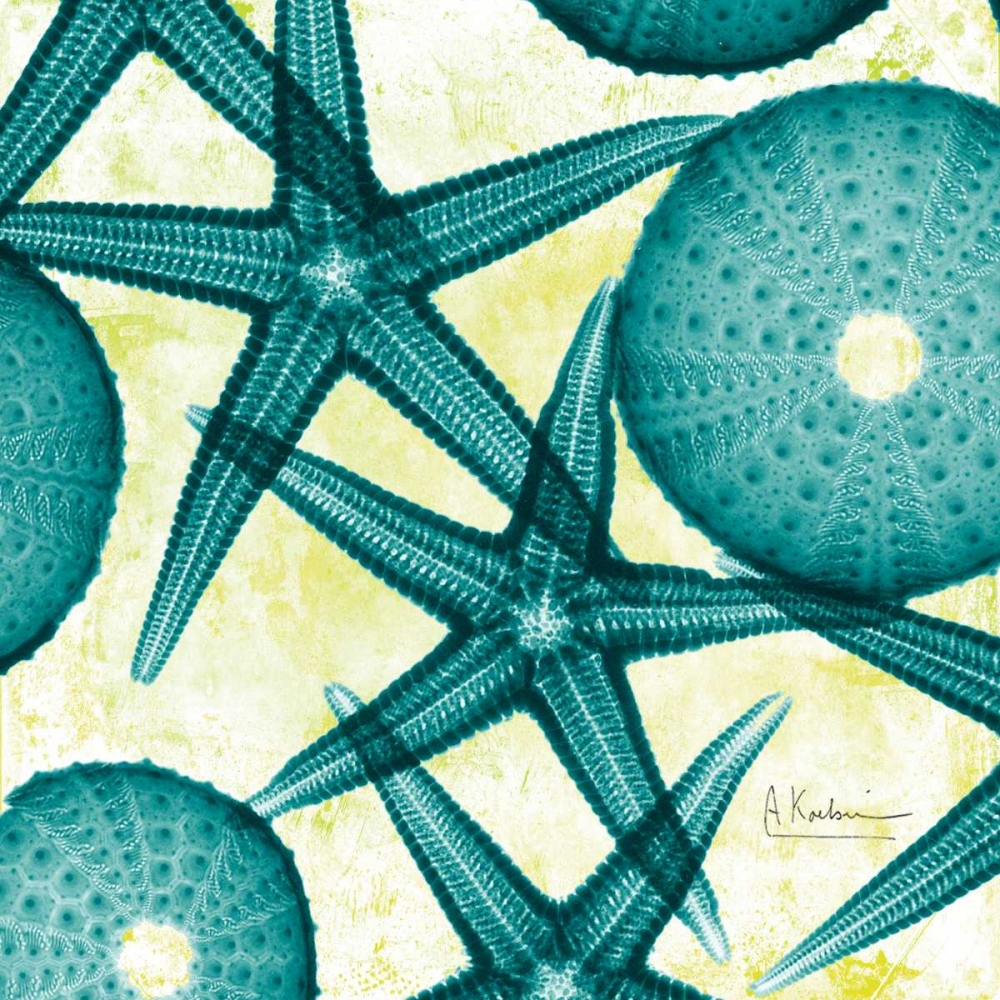 Starfish Trip 2 art print by Albert Koetsier for $57.95 CAD