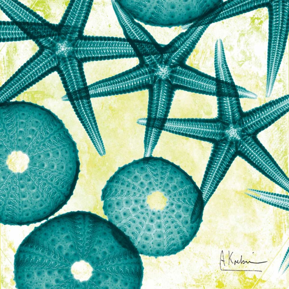 Starfish Trip 3 art print by Albert Koetsier for $57.95 CAD