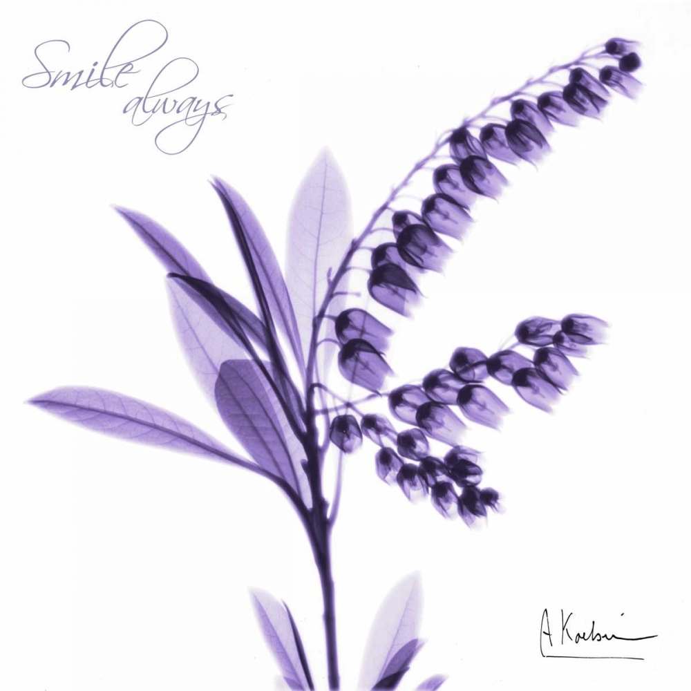 Smile_always art print by Albert Koetsier for $57.95 CAD