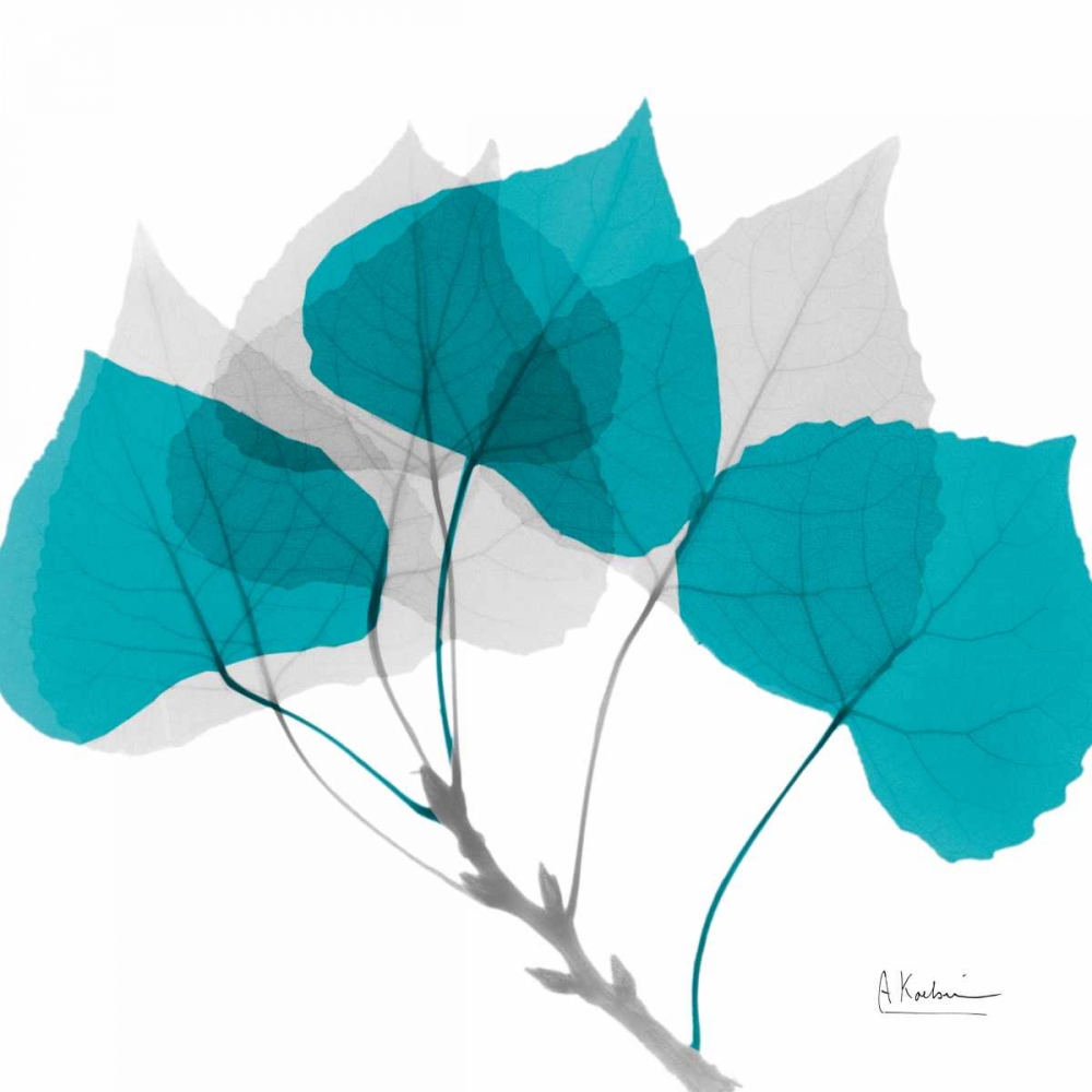 Aspen Teal E143 art print by Albert Koetsier for $57.95 CAD