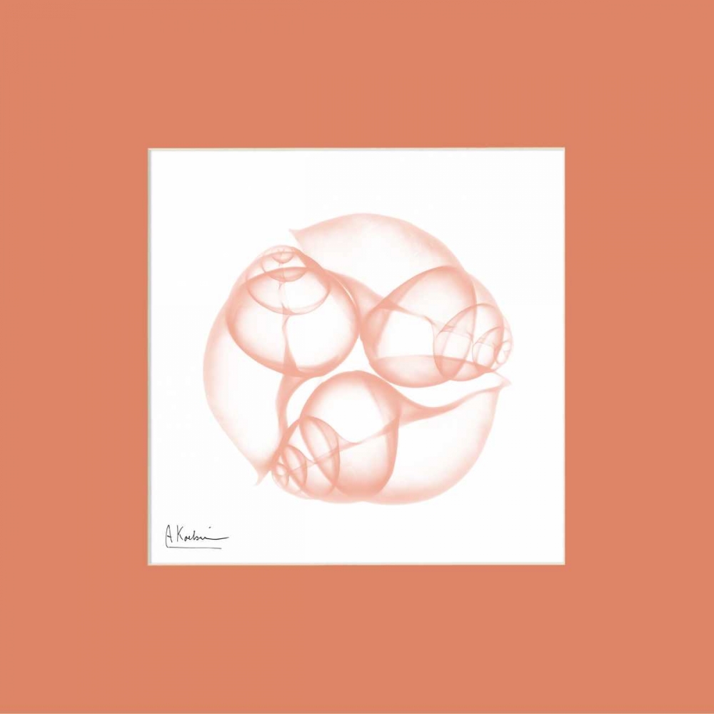 Snails Peach Matte art print by Albert Koetsier for $57.95 CAD