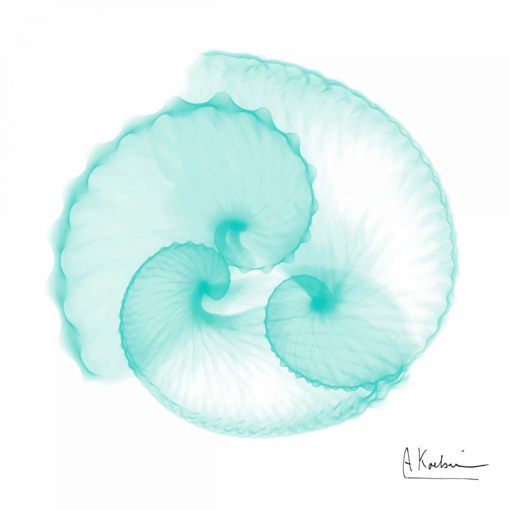 Seafoam Argonaut art print by Albert Koetsier for $57.95 CAD